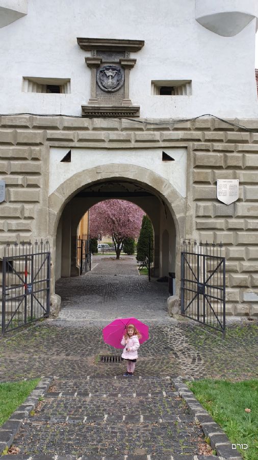 רומניה פסח 2019